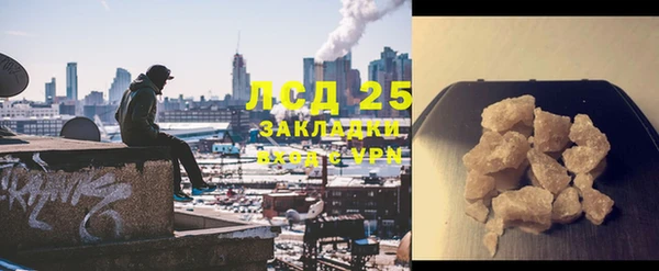 индика Богородицк