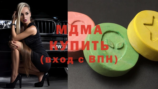 индика Богородицк