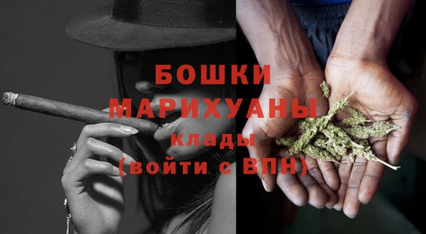 молекула духа Белокуриха