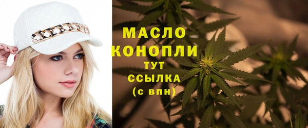стаф Богданович