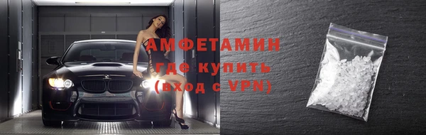 стаф Богданович