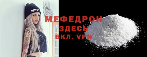 индика Богородицк
