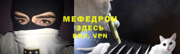 стаф Богданович