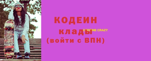 индика Богородицк