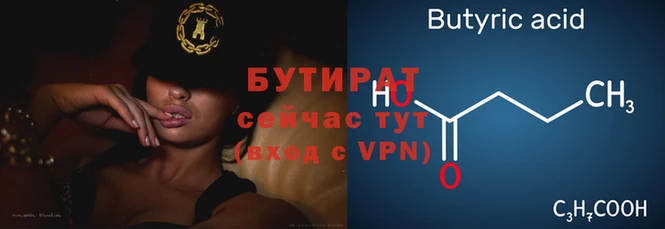 индика Богородицк