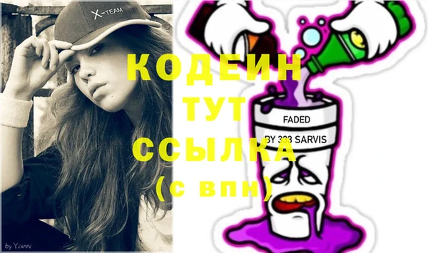 индика Богородицк