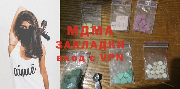 индика Богородицк