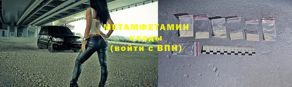 индика Богородицк