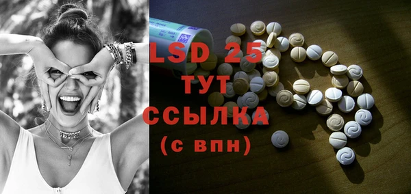 индика Богородицк