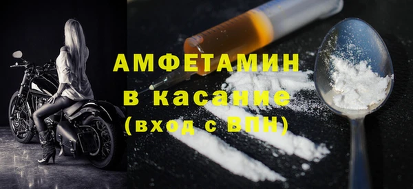 индика Богородицк