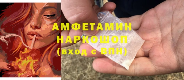 индика Богородицк