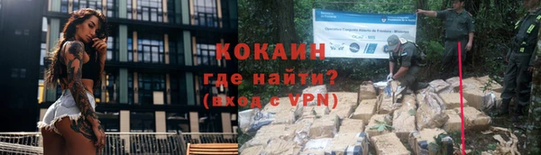 стаф Богданович
